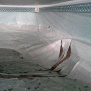 Wings, MD Swimming Pool inspection