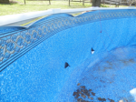 Quarryville, PA Pool Inspection