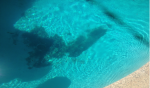 Sherman Oaks, CA Pool Inspection