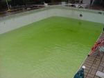 Why Do Pools Turn Green?