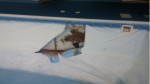 Damaged Pool Liner in Spokane, WA